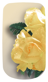 DAROYAL-069  Bouquet Of Roses Yellow